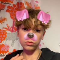 shawy_powrot2